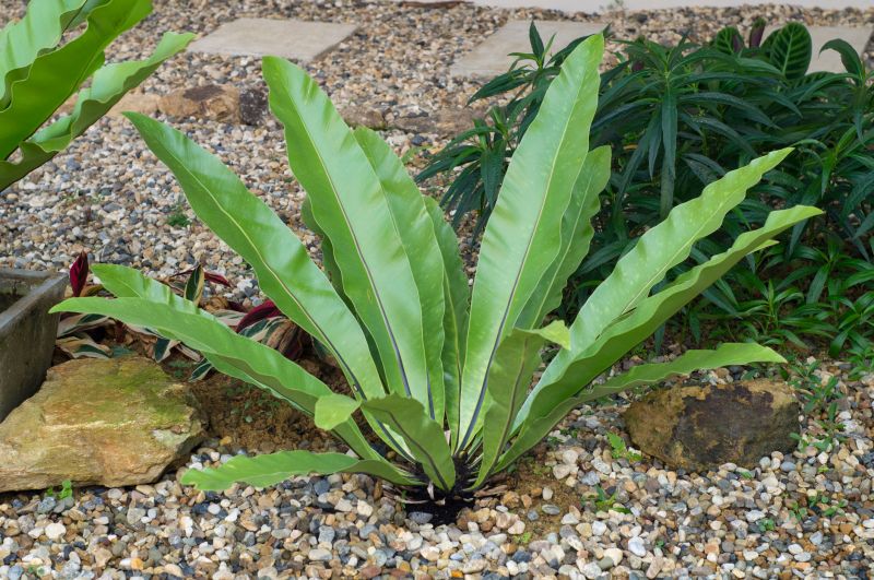 Material Picks that Last